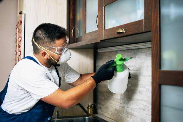 Best Ant Control Services  in Spencer, OK
