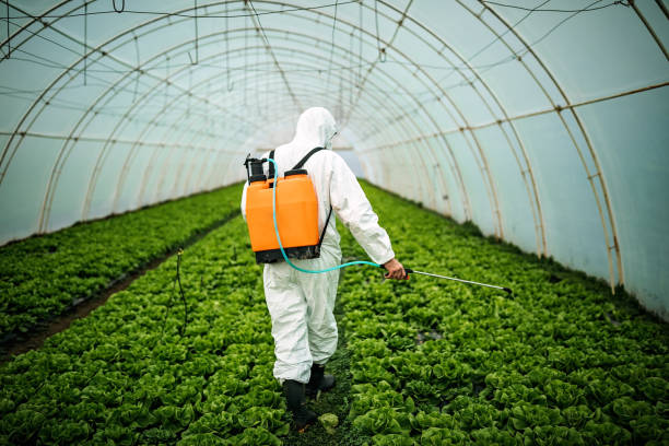 Best Local Pest Control Services  in Spencer, OK