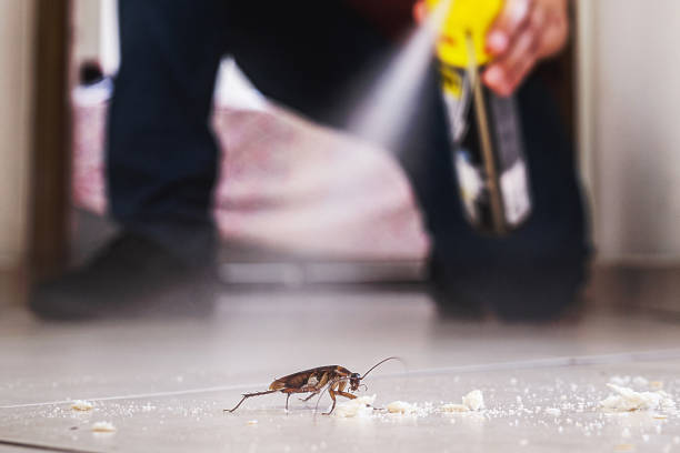 Best Pest Control Near Me in Spencer, OK